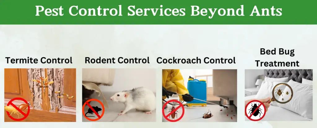 Pest Control Services Beyond Ants