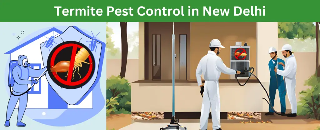 Termite Pest Control in New Delhi